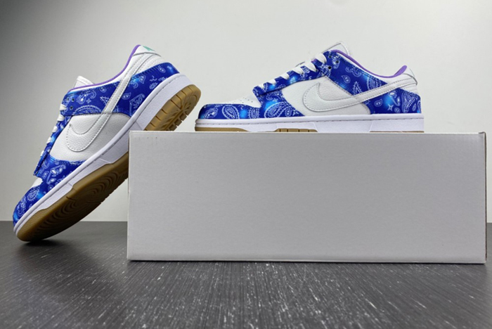 Nike SB Dunk Low Retro SP CT5053-041