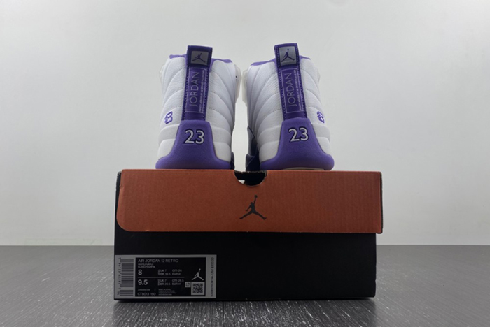 Nike Air Jordan 12  purple CT8013-150