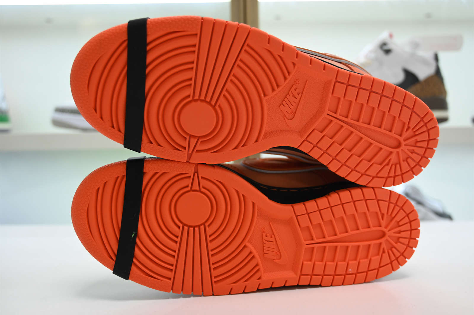 Concepts x Nike SB Dunk Low FD8776-800