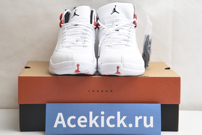 Air Jordan 12 Retro CT8013-106