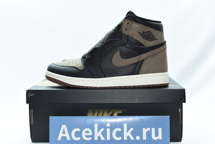 Air Jordan 1 High OG “Palomino” DZ5485-020