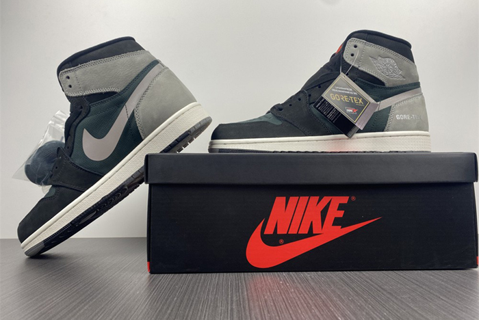 Air Jordan 1 Element Gore-Tex  DB2889-001