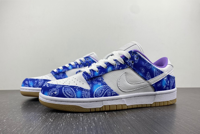 Nike SB Dunk Low Retro SP CT5053-041