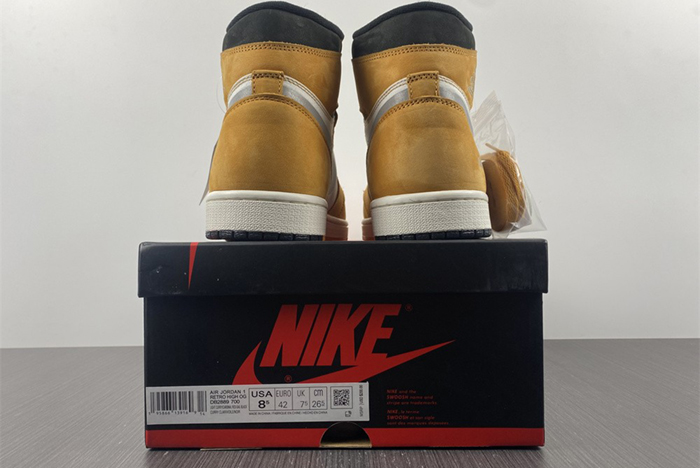 Air Jordan 1 Element Gore-Tex  "Light Curry"   DB2889-700