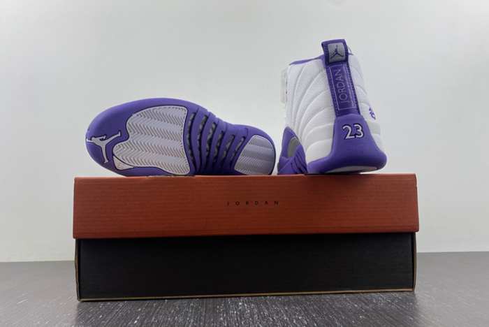 Nike Air Jordan 12  purple CT8013-150