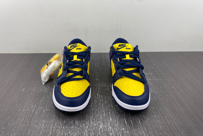 Nike Dunk Low Disrupt 2 