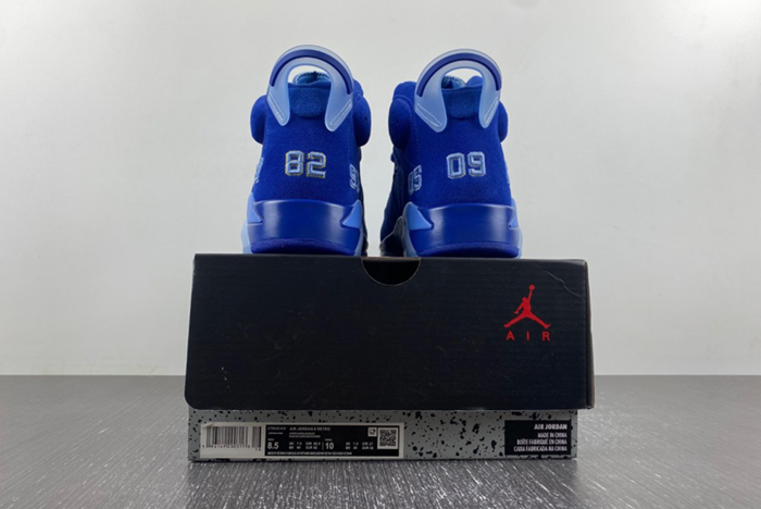 Air Jordan 6  CT8529-410