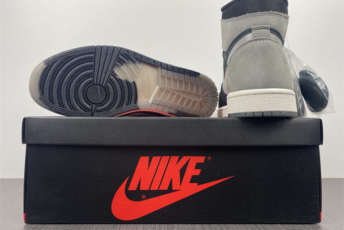 Air Jordan 1 Element Gore-Tex  DB2889-001