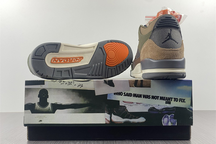Air Jordan 3 “Camo”  DO1830-200