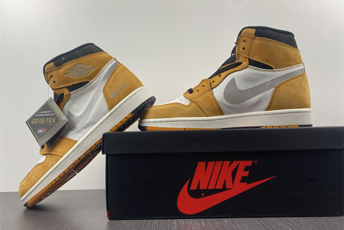 Air Jordan 1 Element Gore-Tex  "Light Curry"   DB2889-700