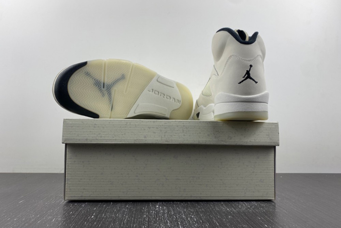 Air Jordan 5 SE Sail FN7405-100