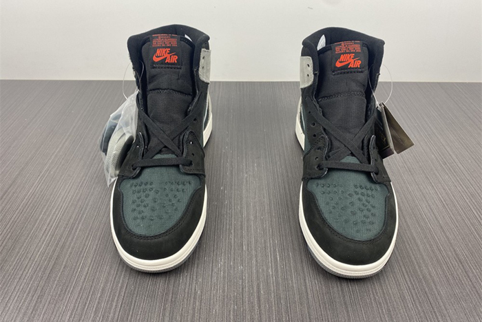 Air Jordan 1 Element Gore-Tex  DB2889-001