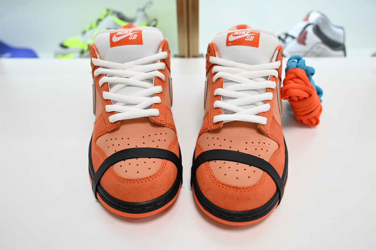 Concepts x Nike SB Dunk Low FD8776-800