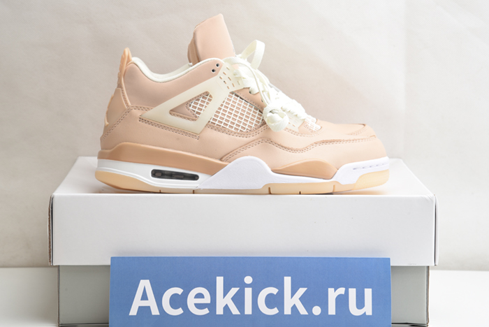 Air Jordan 4 WMNS“Shimmer” DJ0675-200