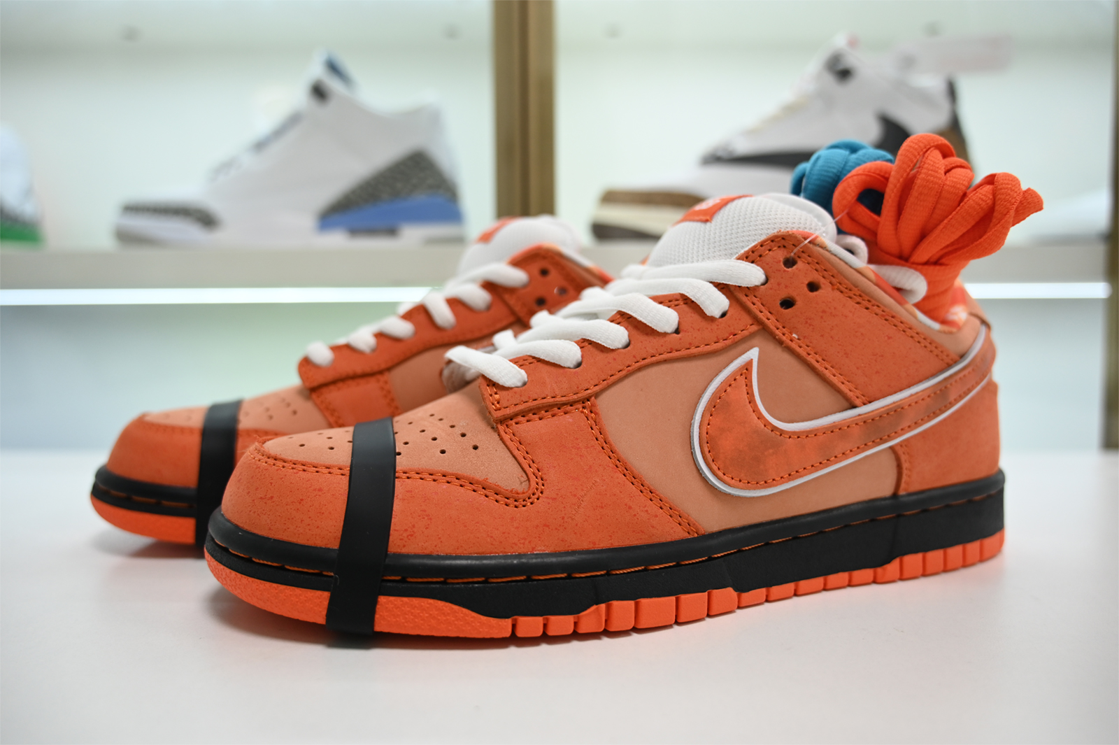 Concepts x Nike SB Dunk Low FD8776-800