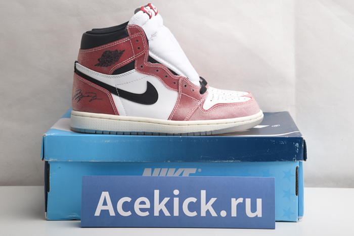 Trophy Room x Air Jordan 1 High DA2728-100