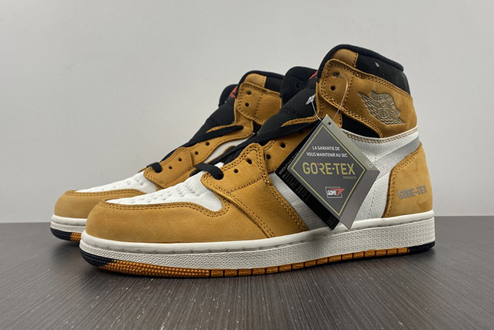 Air Jordan 1 Element Gore-Tex  