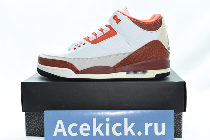 Jordan 3 Retro SE Dunk on Mars  DV7028-108