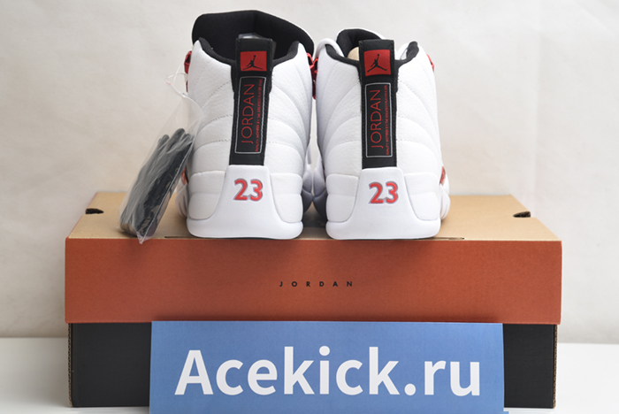 Air Jordan 12 Retro CT8013-106