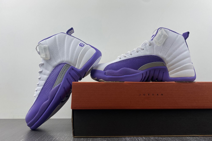 Nike Air Jordan 12  purple CT8013-150