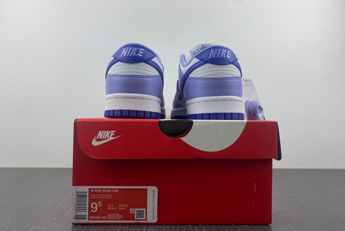 Nike Dunk Low GS “Blueberry” DZ4456-100
