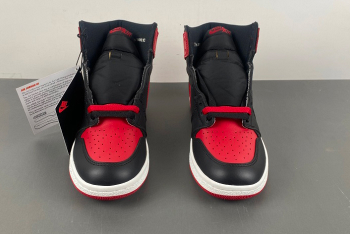 Jordan 1 Retro High 
