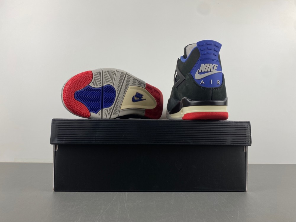 Air Jordan 4  Rare Air FV5029-003